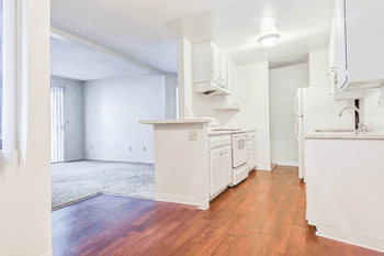 Ample counter and cabinet space